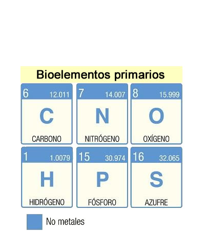 bioelementos primarios